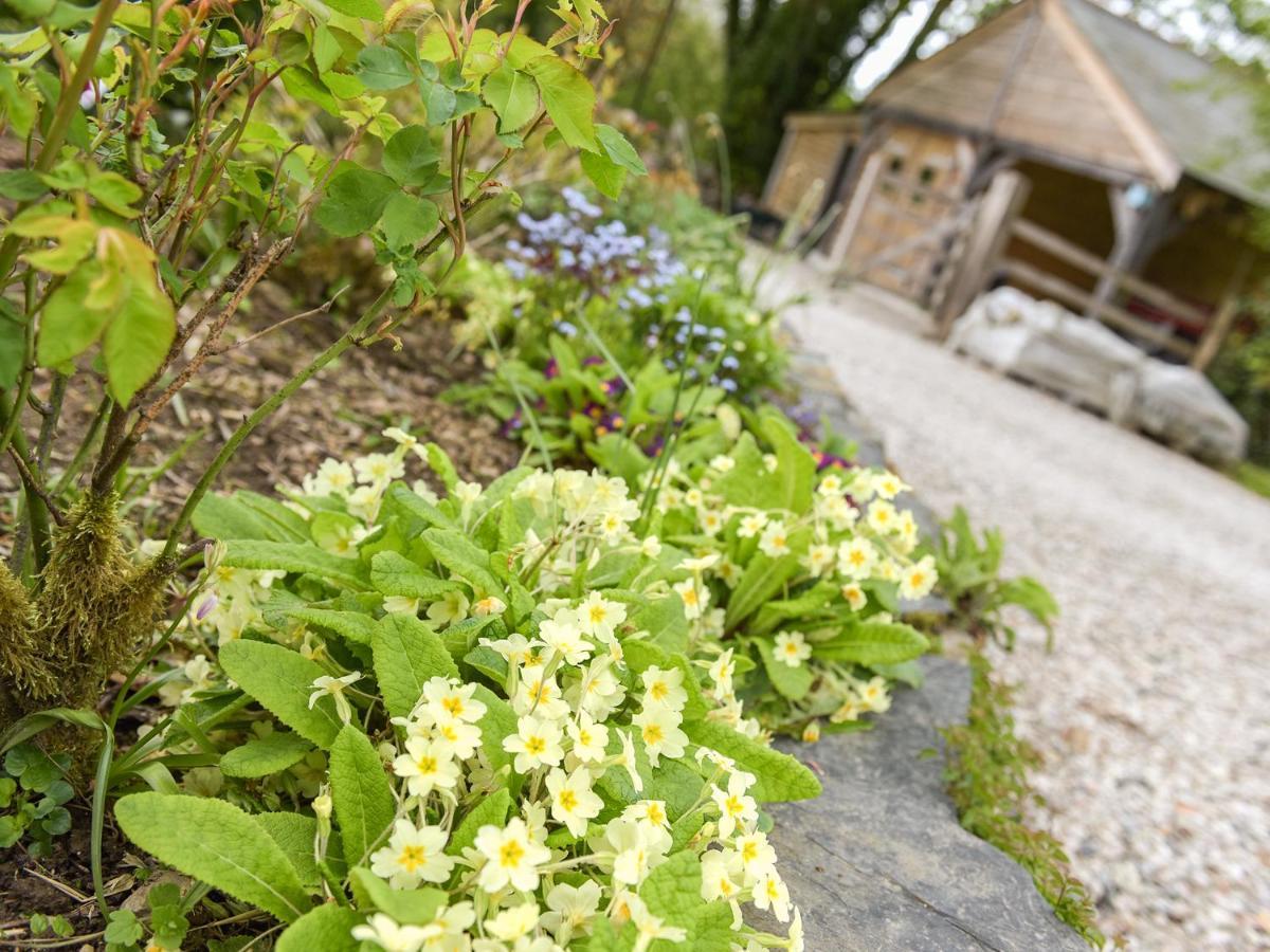 Mimi'S Cottage Liskeard Bagian luar foto